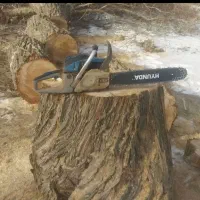 قطع درخت رایگان با ارّه برقی