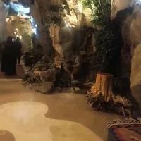 صندوقدار سالندار و ظرفشور کانتردار