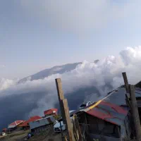 نیازمند سرویس مدرسه جهان دانش