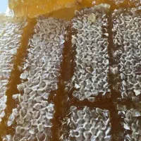عسل فروشی