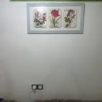 تابلو|تابلو، نقاشی، عکس|خرمشهر, |دیوار