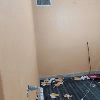 نصب کاغذ دیواری|خدمات پیشه و مهارت|جهرم, |دیوار