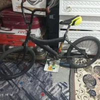 دوچرخه دو عدد