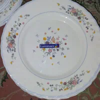 ظروف آرکوپال ویکتوریا فرانسه