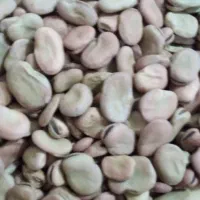 باقالی‌خشک‌امسال