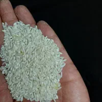 برنج طارم عطری و خوش پخت به قیمت پاکستانی