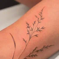 تتو بدن|خدمات آرایشگری و زیبایی|سبزوار, امیر کبیر|دیوار