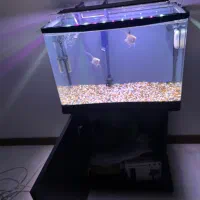 اکواریوم ۶۰در۴۰|ماهی|تهران, ویلاشهر|دیوار