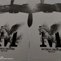 چاپ زول چاپ سیلک|عمده‌فروشی|مشهد, شیرحصار|دیوار