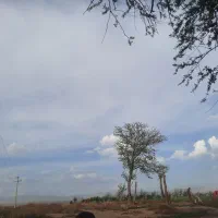 زمین شهرک  مصلی