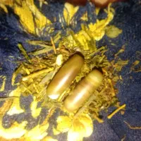 مهره سلیمانی سنگ باباقوری تسبیح ام البنین