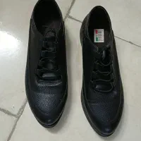 کفش زنانه|کیف، کفش، کمربند|پاکدشت, پاکدشت (مامازند)|دیوار