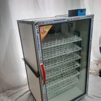 دستگاه جوجه کشی|لوازم جانبی حیوانات|گرگان, |دیوار