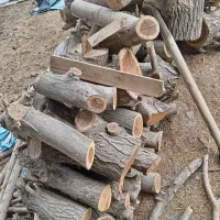 چوب خرید چوب فقط خشک|خدمات باغبانی و درختکاری|نجفآباد, یزدانشهر|دیوار