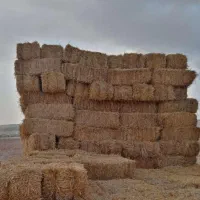 پرس کاه درجه یک