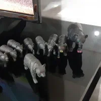 فیگور عروسک حیوانات