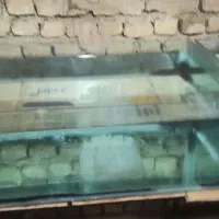 آکواریوم
