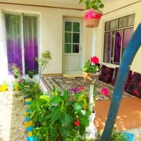 ویلای-جنگلی
