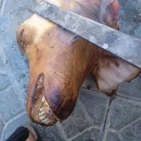 کله پاچه|خوردنی و آشامیدنی|نورآباد ممسنی, |دیوار