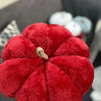 کدو دکوراتیو یلدایی|صنایع دستی و سایر لوازم تزئینی|مشهد, کوشش|دیوار