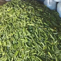 خیارشور