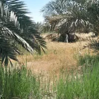 ۵ هکتار زمین حفار شرقی فرصت طلایی...عکس تزینی|فروش زمین و ملک کلنگی|آبادان, |دیوار