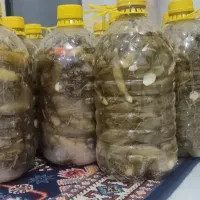 خیارشور تازه