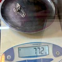 دستبند کارتیر نو|جواهرات|اندیشه, اندیشه فاز ۳|دیوار