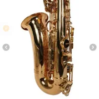 ساک سیفون التو