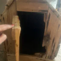 خانه سگ|لوازم جانبی حیوانات|بندر کنگان, |دیوار