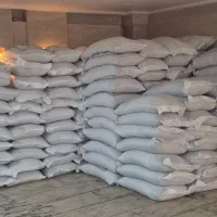 گندم بذری برات