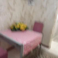 استخر آب گرم خانوادگی جکوزی|اجارهٔ کوتاه‌مدت ویلا و باغ|سنگر, |دیوار