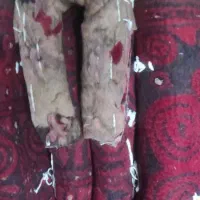 زین اسب قیمت ۷ میلیون