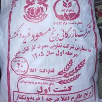 برنج