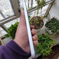 تبلت سامسونگ A9|تبلت|نمشیر, |دیوار