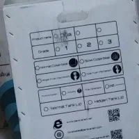 هفت عدد کارتن موز بزرگ
