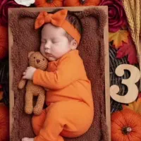 یلدا|اسباببازی بچه|بجنورد, |دیوار