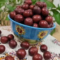 عناب درجه یک خراسان