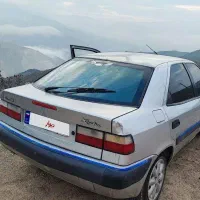 زانتیا 84 سالم