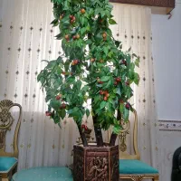درخچه مصنوعی گیلاس