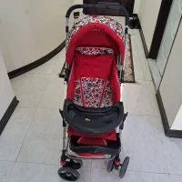 کالسکه دلیجان تمیز