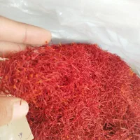 انواع زعفران (سرگل نگین دخترپیچ) مستقیم از قاینات|خوردنی و آشامیدنی|قائن, |دیوار