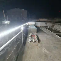 پخش و فروش ماهی قرمز شب عید