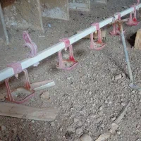 لوله و نیپل و کاپ برای ابخوری پرنده