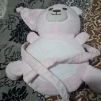 مانتو مجلسی|لباس|مشهد, کوشش|دیوار