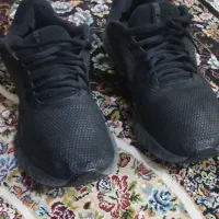 نایک خارجی اصل اصل