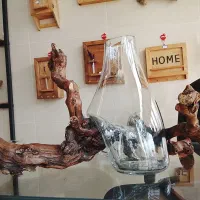 تنگ ماهی و گل چوبی و سنگ نمک