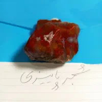 سنگ راف شجر|کلکسیون اشیاء عتیقه|شادمهر, |دیوار