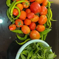 اشپز جهت پخت غذا روزانه ده پرس