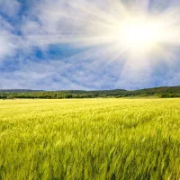 آبیار